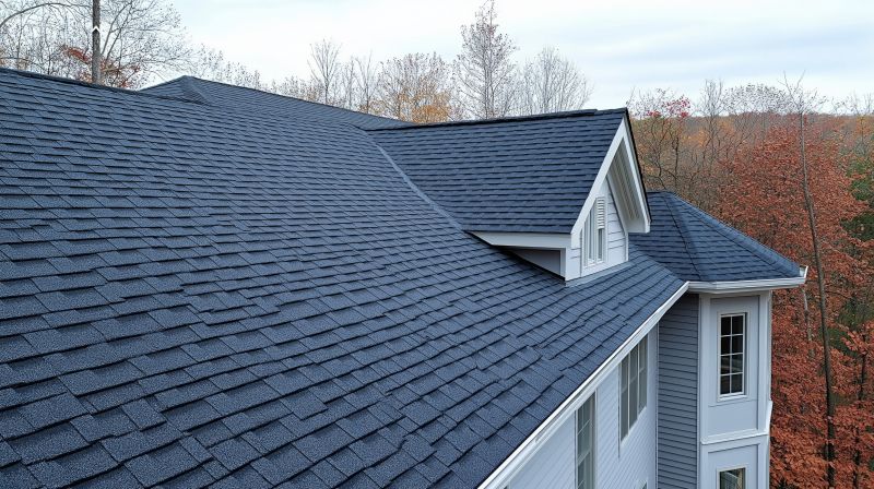 Fall Roofing Service